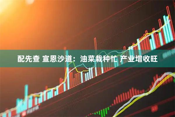 配先查 宣恩沙道：油菜栽种忙 产业增收旺