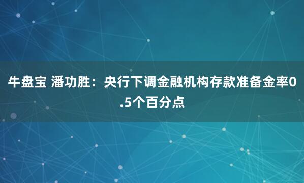 牛盘宝 潘功胜：央行下调金融机构存款准备金率0.5个百分点